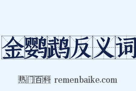 金鹦鹉反义词是什么意思的图片